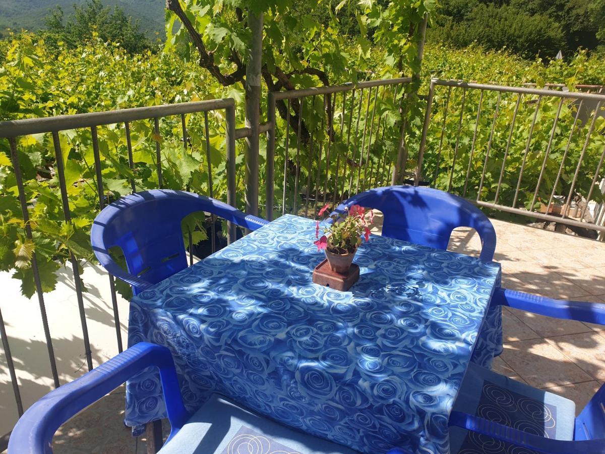 Mijailovic Apartmani Kaluderac Экстерьер фото