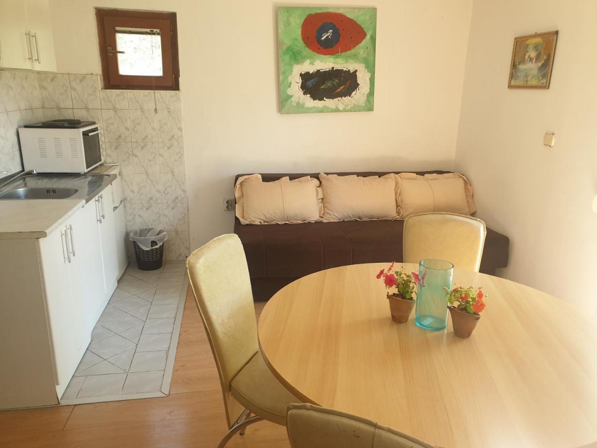 Mijailovic Apartmani Kaluderac Экстерьер фото